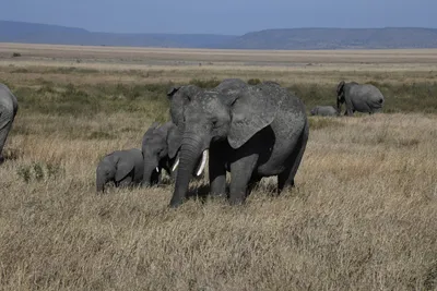 DSC_3898 (Large).JPG